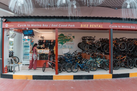 Bicycle rental