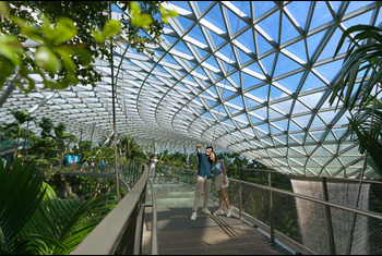 Mastercard® Canopy Bridge